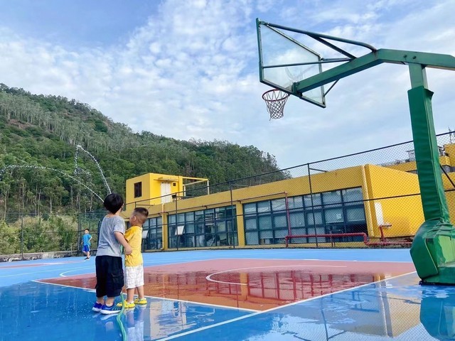 安徽新型摆盘机公司